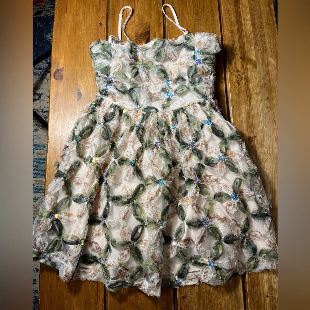 Entro dressy dress Dress with Floral Embroidery and netting. Gorgeous!!
